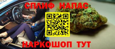 PSILOCYBIN Бугуруслан